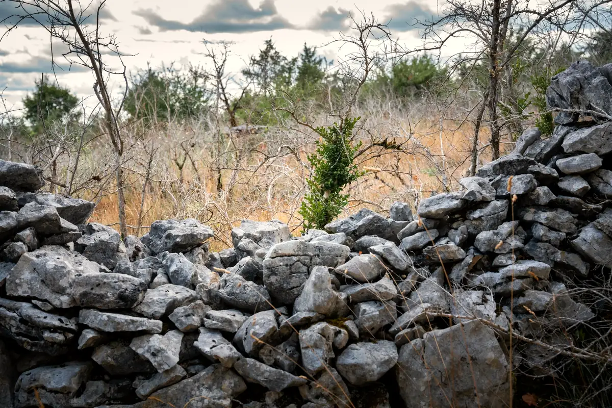 Pierres calcaires entassées en lisière de bois, sur le causse près de Cahors