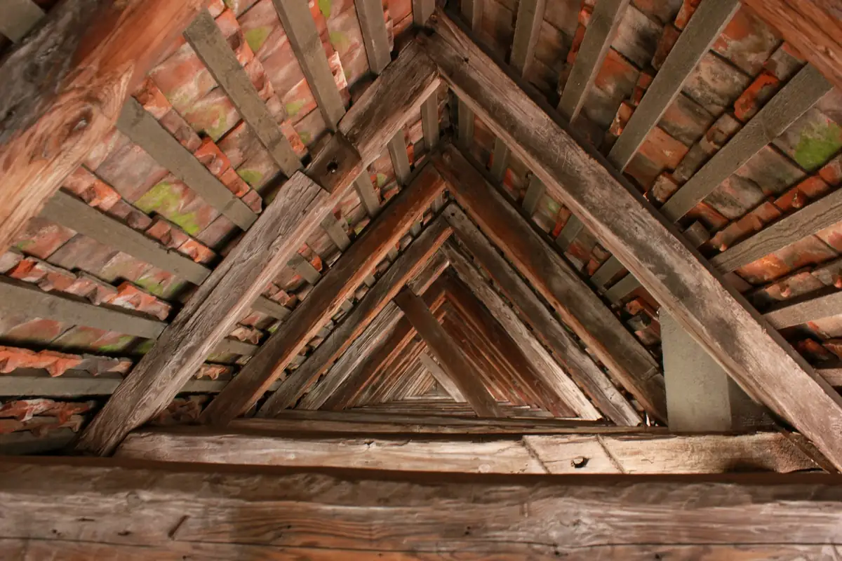 Charpente en bois vue de dessous, l’envers des tuiles apparent entre les chevrons