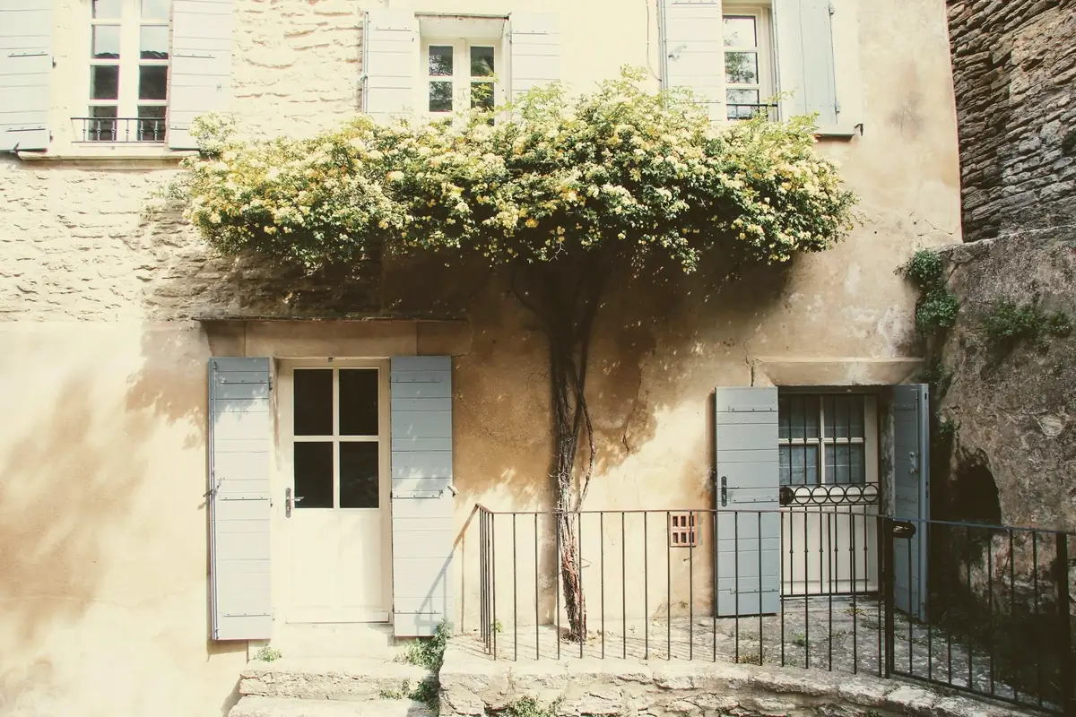 Façade ancienne enduite, volets gris et glycine en fleurs au-dessus de la porte