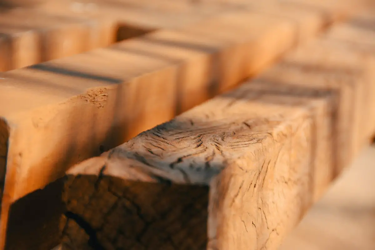 Pièce de bois massif vue en gros plan, fil du bois et fentes de séchage